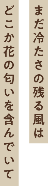 今の自分の尺度に合わせて変わらない存在感をたのしむ