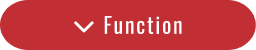 Function