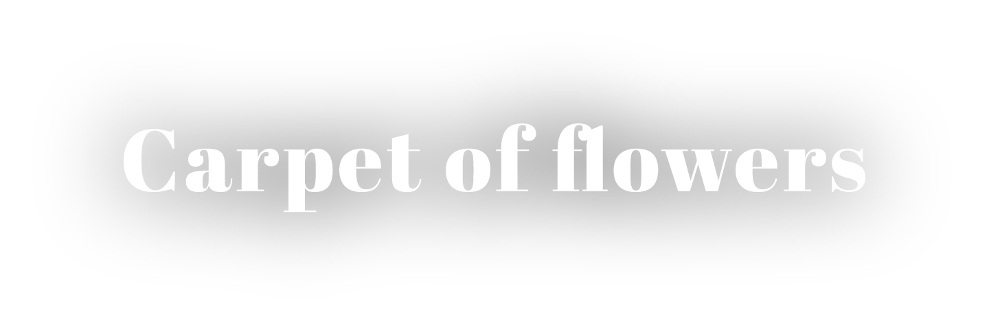 Carpet of flowers