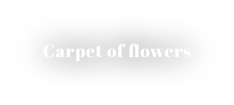 Carpet of flowers