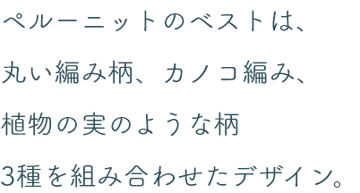 ペルーニットのベストは、丸い編み柄、カノコ編み、植物の実のような柄3種を組み合わせたデザイン。