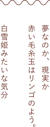 夢なのか、現実か 赤い毛糸玉はリンゴのよう。 白雪姫みたいな気分