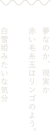 夢なのか、現実か 赤い毛糸玉はリンゴのよう。 白雪姫みたいな気分