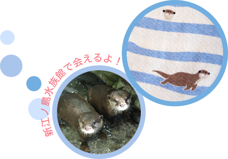 カワウソボーダーTシャツ