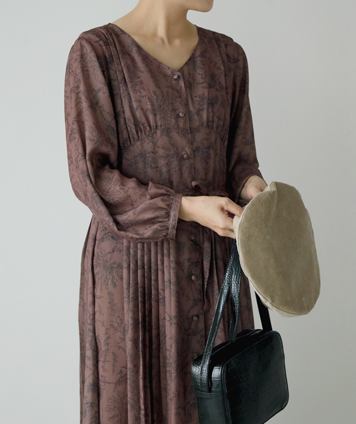 ヒナウチワカエデ　鶏冠山/ 488 ヒナウチワカエデ 鶏冠山/ 488